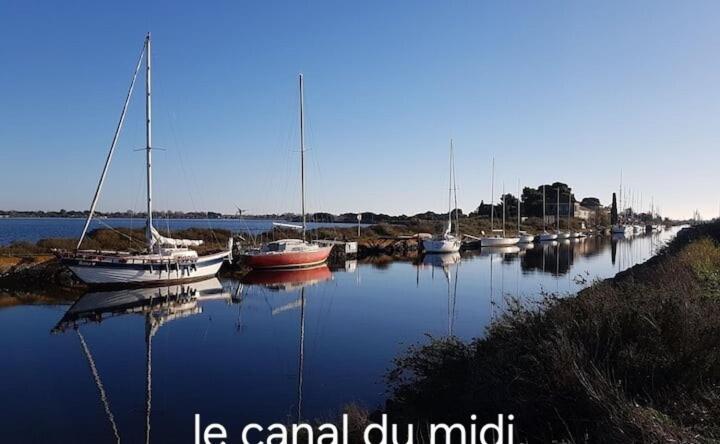 Le Corinthe - Appt Classe 3 Etoiles Et Climatise Marseillan  Zewnętrze zdjęcie